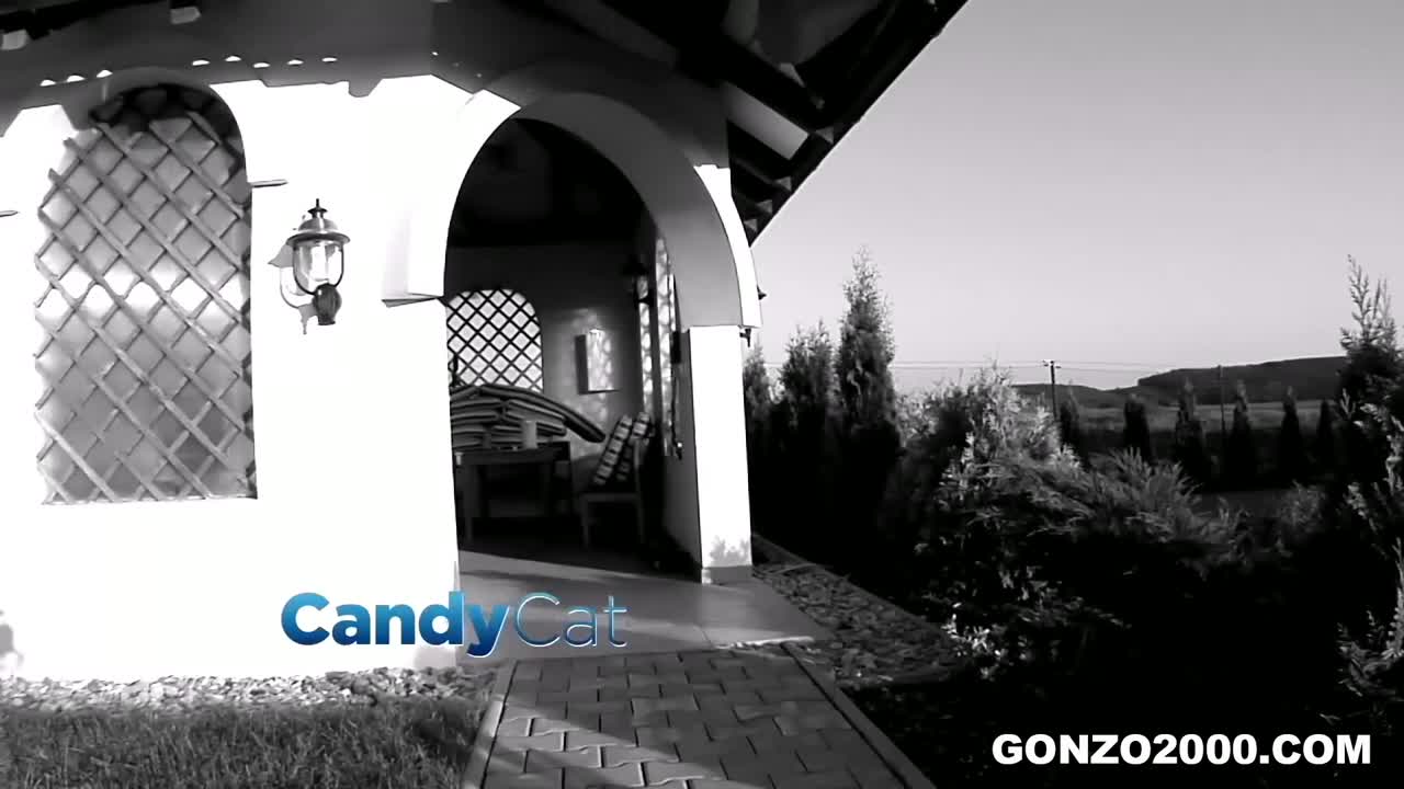 Watch Nick Lang and Candy Cat babe video from Gonzo 2000 by Adult Prime on ePornThot.