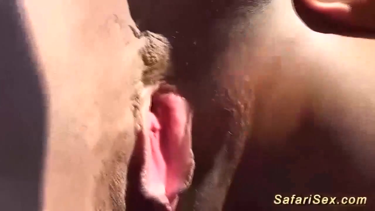 Watch deep throat screw from Safari Sex on ePornThot.