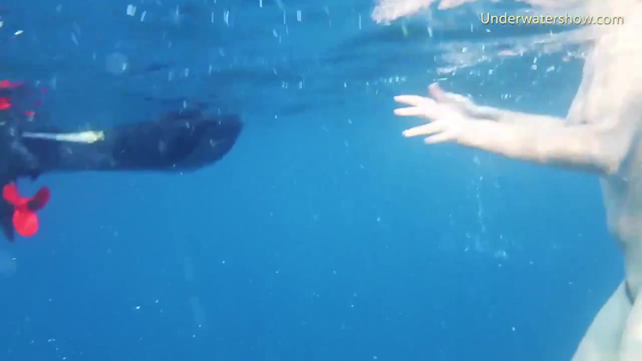 Watch big tits porn from Underwater Show on ePornThot.